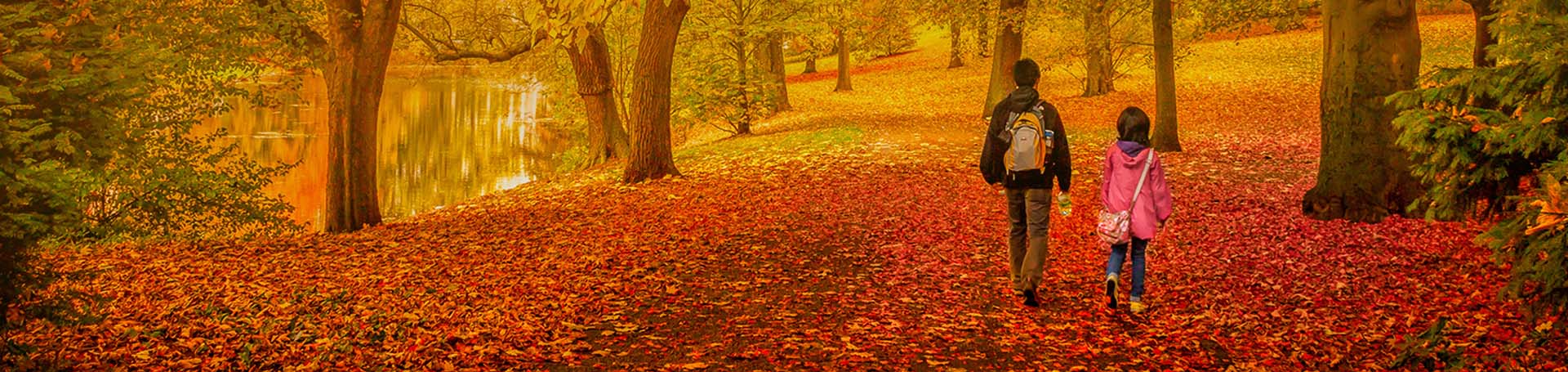 پاییز به کجای ایران سفر کنیم؟